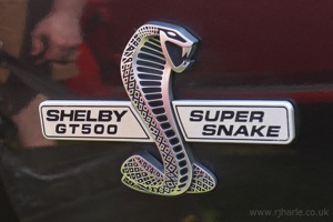 Super Snake Logo