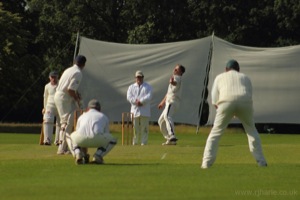 The View Through The Slips