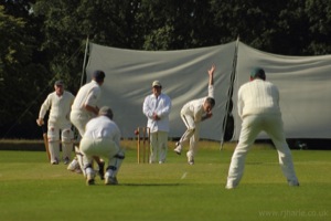 The View Through The Slips