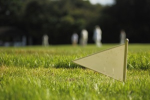 Closeup Of The Boundary Marker