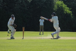 The Last Wicket Falls