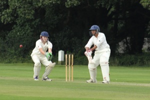 Pec Tries Out His New Bat