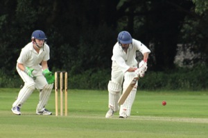 Pec Tries Out His New Bat