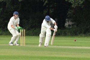 Pec Tries Out His New Bat