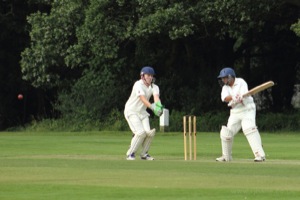 Pec Tries Out His New Bat