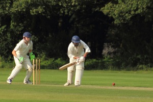 Pec Tries Out His New Bat