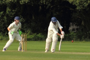 Pec Tries Out His New Bat