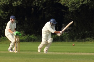 Pec Tries Out His New Bat