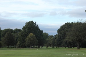 The 3rd Tee