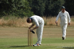 John H Puts The Stumps Back Together