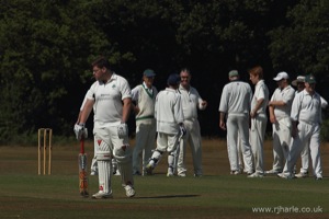 The Big Wicket Falls