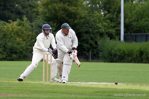 Darren Looking for Runs