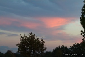 Evening skyline
