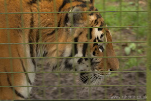 Whipsnade Zoo