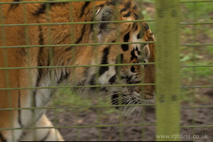 Whipsnade Zoo