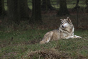 Whipsnade Zoo