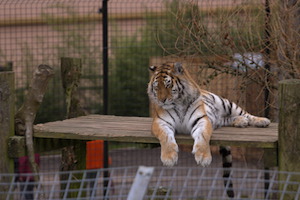 Whipsnade Zoo