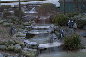 Whipsnade Zoo