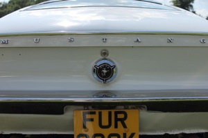 Mustang Rear