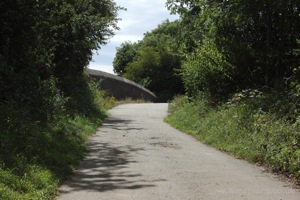 Cross Lane