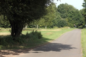 Cross Lane