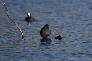 Walking On Water