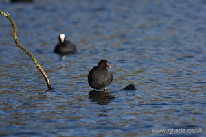 Walking On Water
