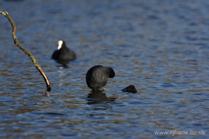 Walking On Water