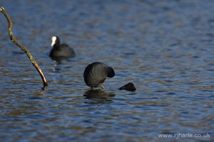 Walking On Water