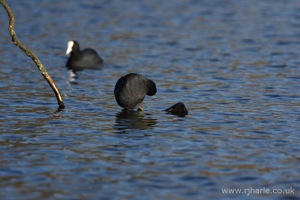 Walking On Water