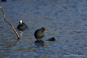 Walking On Water