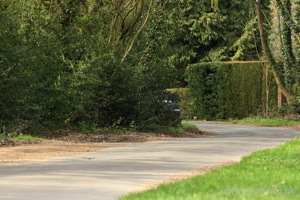 View Down the Lane