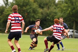 The Winger's View