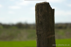 Wooden Post