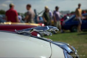 Classics on the Common 2014