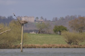 Rutland Nature Reserve, April 2015